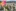 Störer Weinheim Thumbnail 3