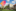 Störer Weinheim Thumbnail 1