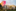 Störer Weinheim Thumbnail 2